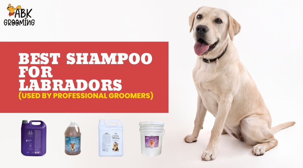 Best shampoo for a Labradors (Used by professional groomers)