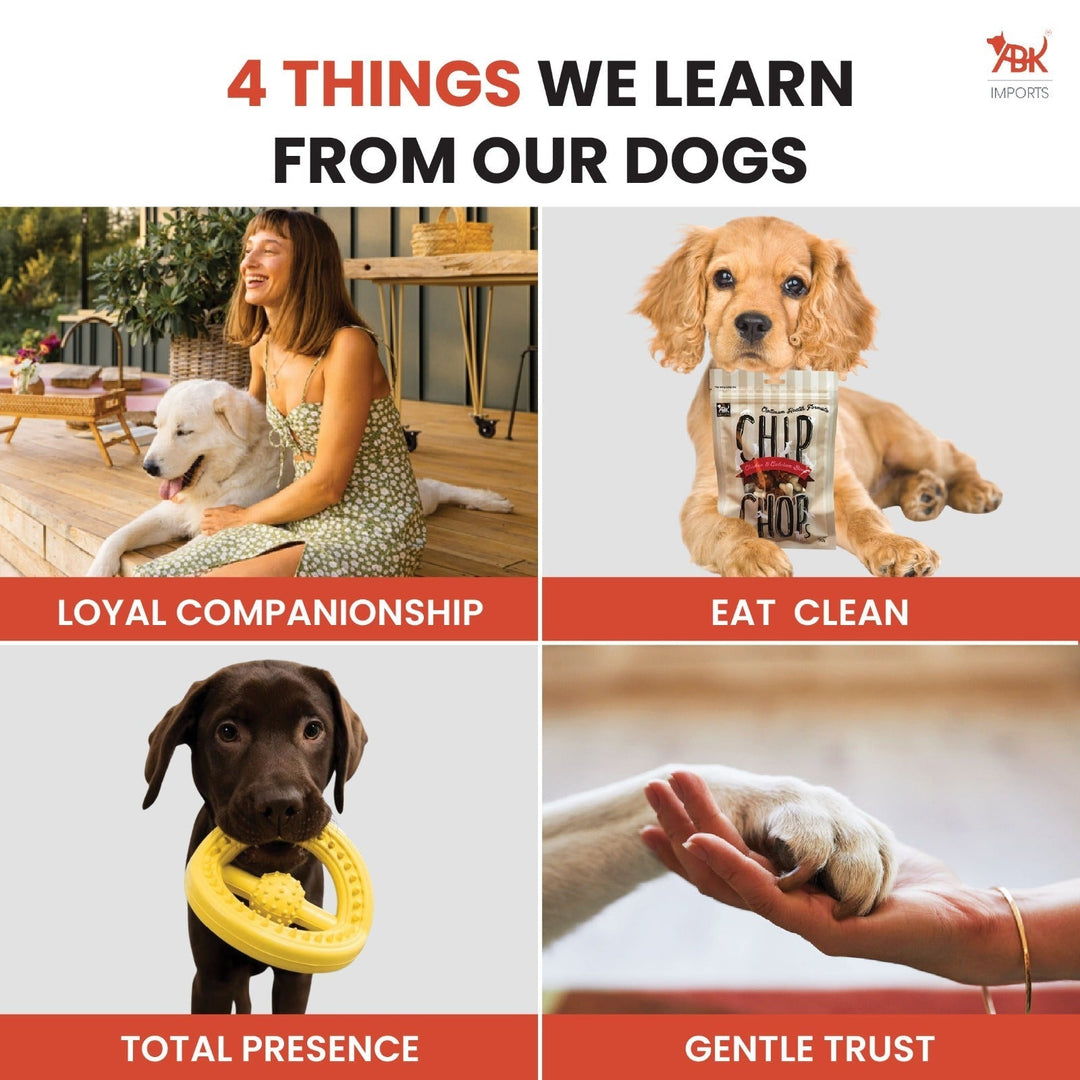 7 Things We Learn From Our Dogs (and Why They’re the Best for Home Life!)