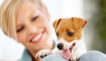 Dogs Prefer Adults — Particularly Women
