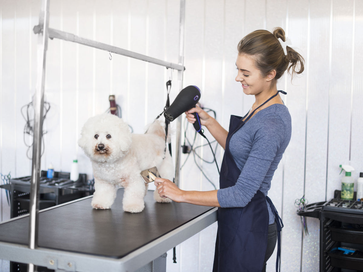 Great News! Pet Shops & Spas can reopen. But Social Distancing Top Priority | ABK Grooming