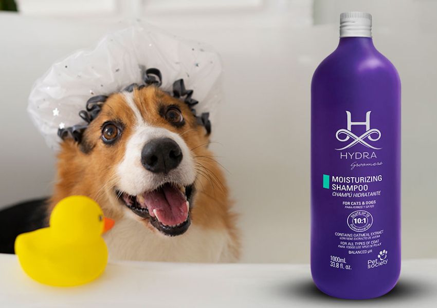 Hydra dog shampoo for pet grooming salons, Hydra dog shampoo for dog breeders, Hydra dog shampoo for dog owners, Hydra dog shampoo for veterinarians, Hydra dog shampoo for groomers
