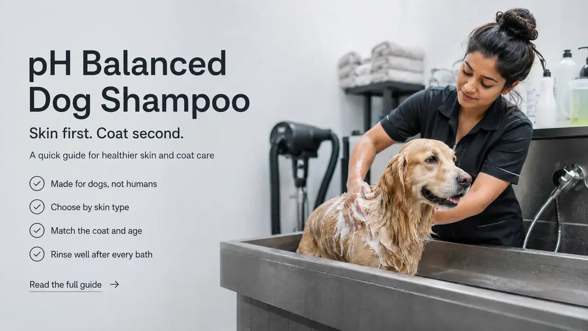 Best pH Balanced Dog Shampoo for Every Coat