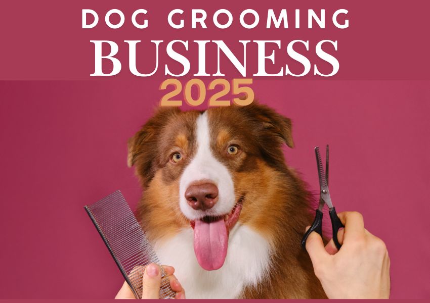 How to Open a Dog Grooming Business in 2025 Successfully