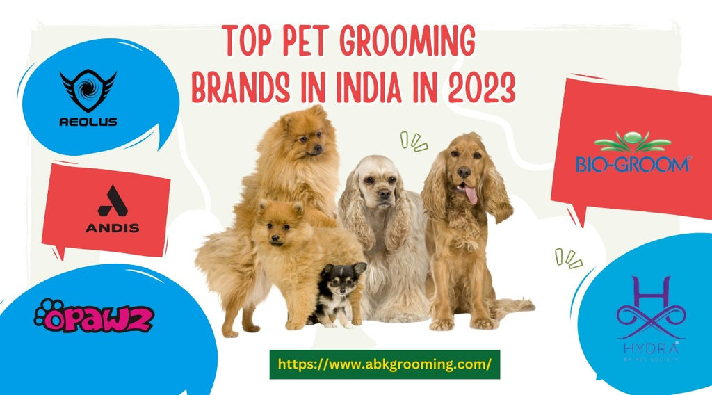 Top Pet Grooming Brands in India in 2023