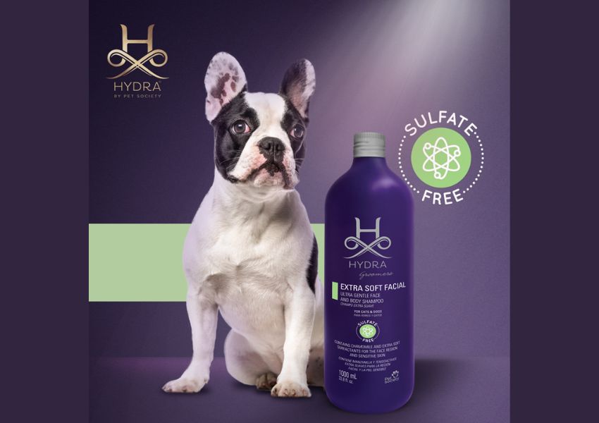 hydra dog shampoo, best dog shampoo for groomers, top-rated dog shampoo for pets, professional dog shampoo, gentle dog shampoo, hypoallergenic dog shampoo, natural dog shampoo, moisturizing dog shampoo, detangling dog shampoo, odor-eliminating dog shampoo