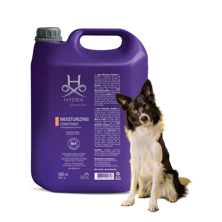 hair mask, hair treatment, deep conditioner, conditioner bar, pet conditioner, dog conditioner, cat conditioner, small animal conditioner, bird conditioner, best pet conditioner, top pet conditioner, buy pet conditioner, pet conditioner online, pet conditioner for sale, natural pet conditioner, organic pet conditioner, hypoallergenic pet conditioner, flea and tick conditioner for pets, medicated pet conditioner, puppy conditioner, kitten conditioner, sensitive skin pet conditioner, deodorizing pet condition