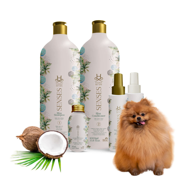 shampoo for sale, natural shampoo, organic shampoo, sulfate-free shampoo, moisturizing shampoo, clarifying shampoo, volumizing shampoo, strengthening shampoo, color-safe shampoo, shampoo for oily hair, shampoo for dry hair, shampoo for fine hair, shampoo for thick hair, shampoo for damaged hair, anti-dandruff shampoo, itchy scalp shampoo, sensitive scalp shampoo, hypoallergenic shampoo, medicated shampoo, professional shampoo, salon shampoo