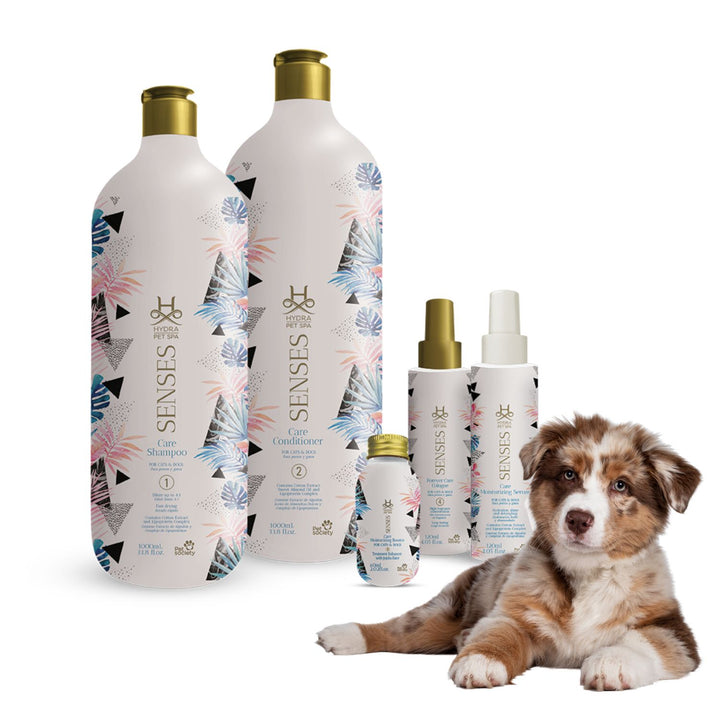 nourishing shampoo, revitalizing shampoo, repairing shampoo, smoothing shampoo, frizz control shampoo, curl enhancing shampoo, texturizing shampoo, baby shampoo, kids shampoo, pet shampoo, flea shampoo, whitening shampoo, brightening shampoo, odor eliminating shampoo, waterless shampoo, dry shampoo, shampoo bar, pet shampoo, dog shampoo, cat shampoo, small animal shampoo, bird shampoo, best pet shampoo, top pet shampoo, buy pet shampoo, pet shampoo online, pet shampoo for sale, natural pet shampoo, organic 