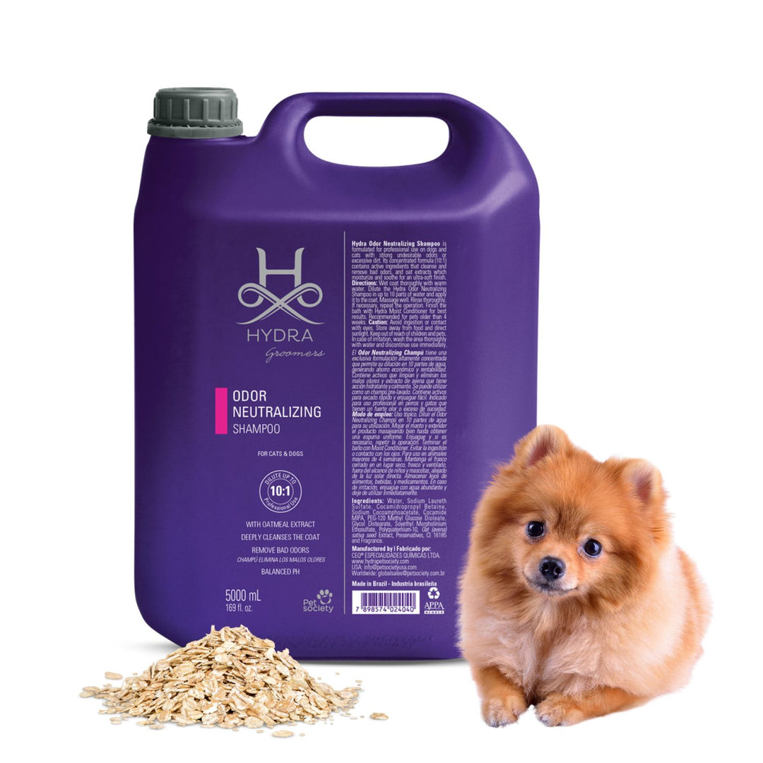 dog shampoo good smell, pet lovers shampoo, dog shampoo under 200, petex shampoo, pet shampoo bottle, puppy shampoo and conditioner, dog shampoo amazon, dog shampoo replacement, dog shampoo spray, pet bin shampoo, pet head shampoo, pet shampoo manufacturers in india, dog shampoo nearby, dog shampoo online, zoivane pet shampoo, pet glow shampoo, dog shampoo kit, dog shampoo ketochlor, pet shampoo medicated, dog shampoo oatmeal, dog shampoo yeast infection, 6 shampoo, shampoo 7, dog shampoo diy, dog shampoo g