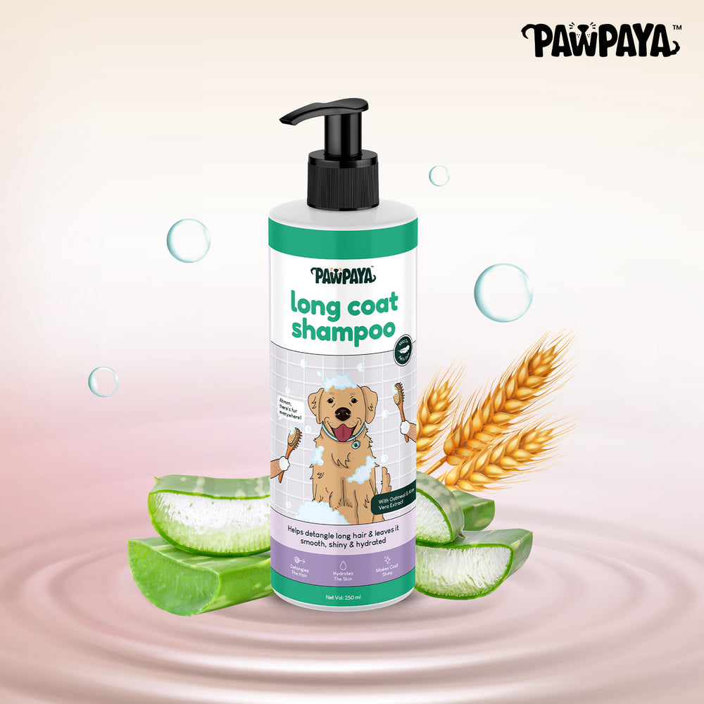 Shampoo, hair shampoo, best shampoo, top shampoo, buy shampoo, shampoo online, shampoo for sale, natural shampoo, organic shampoo, sulfate-free shampoo, moisturizing shampoo, clarifying shampoo, volumizing shampoo, strengthening shampoo, color-safe shampoo, shampoo for oily hair, shampoo for dry hair, shampoo for fine hair, shampoo for thick hair, shampoo for damaged hair, anti-dandruff shampoo, itchy scalp shampoo, sensitive scalp shampoo, hypoallergenic shampoo