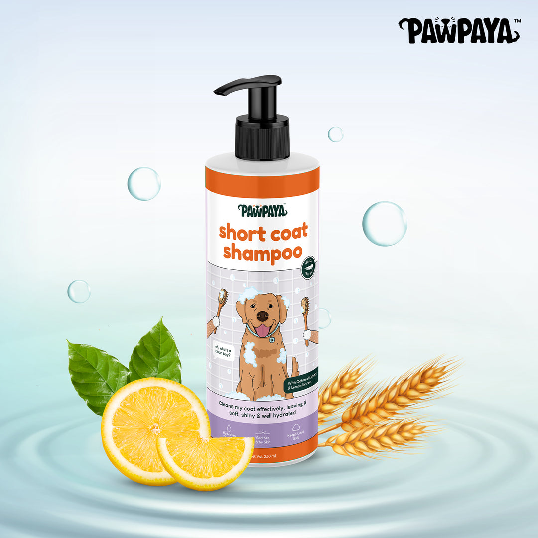 Pawpaya Short Coat Shampoo,  250 ml