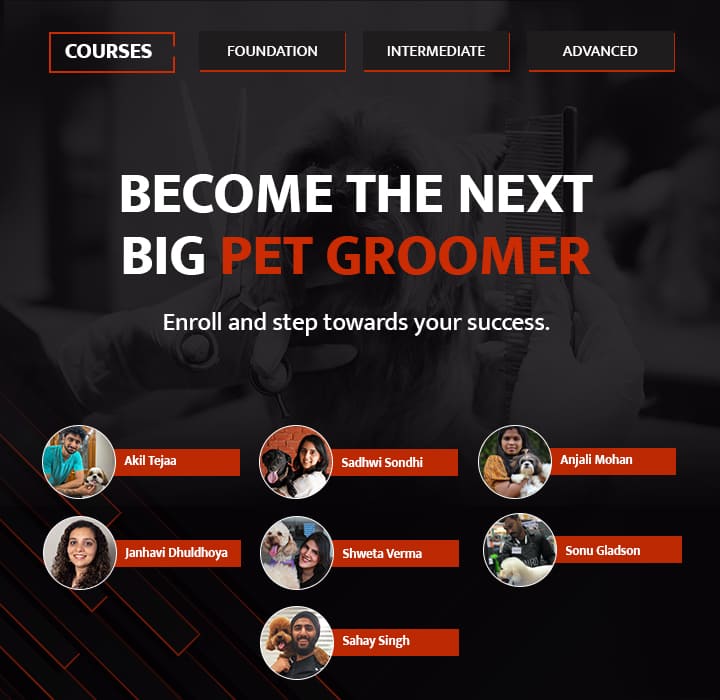Grooming Education Courses – ABK Grooming