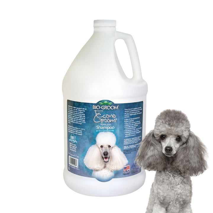 biogroom desert agave, biogroom desert agave cologne, bio groom waterless shampoo, bio groom ear powder, bio groom ear cleaner, biogroom desert agave scent, biogroom south africa, bio groom shampoo, bio groom shampoo reviews, bio groom shampoo super white, bio groom shampoo cat, bio groom shampoo for shih tzu, bio groom shampoo and conditioner, bio groom shampoo nearby