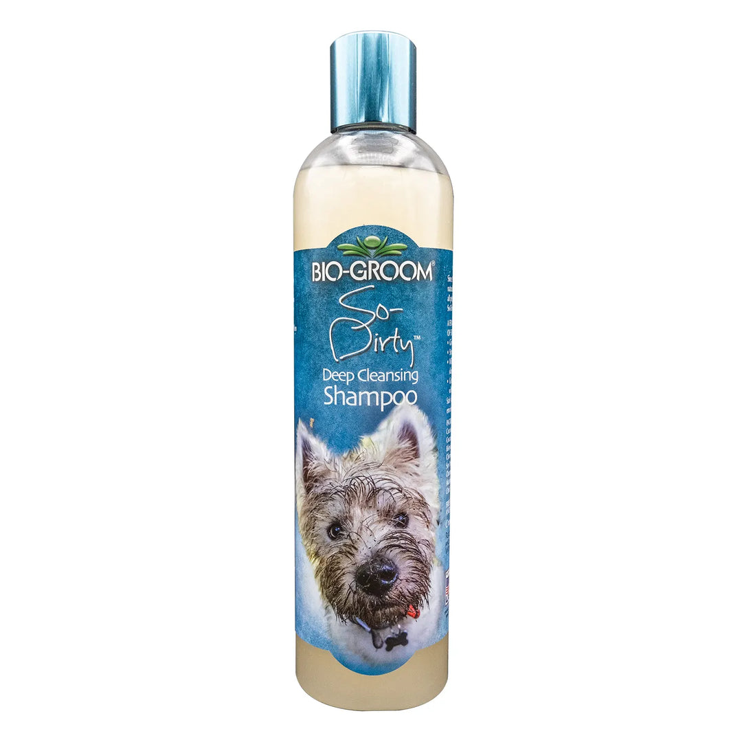 bio-groom so stinky, bio groom waterless shampoo, bio groom econo groom , bio groom shampoo, bio groom shampoo, bio groom conditioner, biogroom desert agave, biogroom desert agave cologne, bio groom waterless shampoo, bio groom ear powder, bio groom ear cleaner, biogroom desert agave scent, biogroom south africa, bio groom shampoo, bio groom shampoo reviews, 