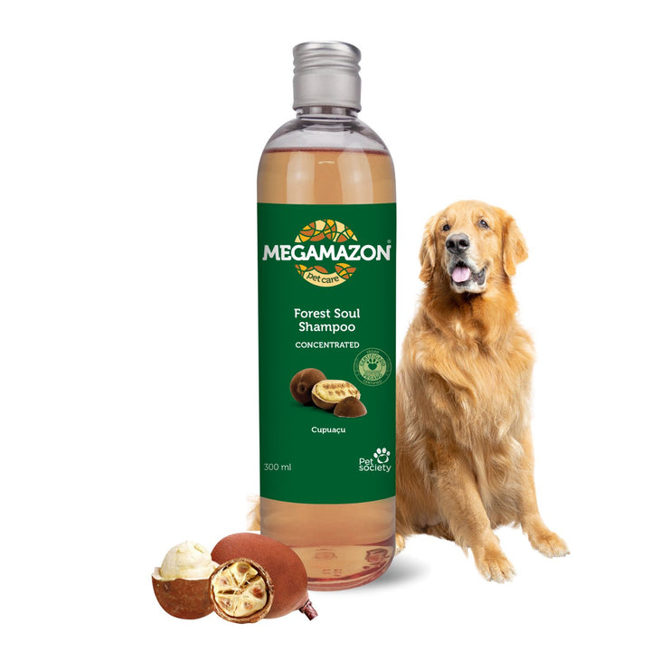 salon shampoo, cheap shampoo, discount shampoo, gentle shampoo, daily shampoo, deep cleansing shampoo, nourishing shampoo, revitalizing shampoo, repairing shampoo, smoothing shampoo, frizz control shampoo, curl enhancing shampoo, texturizing shampoo, baby shampoo, kids shampoo, pet shampoo, flea shampoo, whitening shampoo, brightening shampoo, odor eliminating shampoo, waterless shampoo, dry shampoo, shampoo bar, pet shampoo
