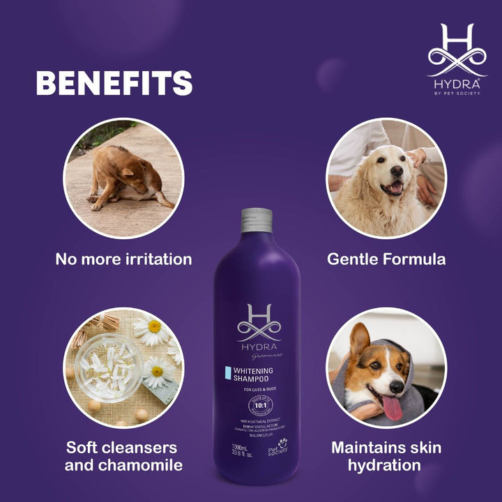 hydra mount hk416, hydra animal eating, hydra pet hunter, hydra animal phylum, pet shampoo, dog shampoo price, dog shampoo ketoconazole, dog shampoo and conditioner, dog shampoo itchy, dog shampoo with oatmeal, pet ben shampoo, dog shampoo german shepherd, dog shampoo golden retriever, pethex shampoo, pet shine shampoo, dog shampoo under 100, dog shampoo with chlorhexidine, dog shampoo low price, dog shampoo itchy skin, dog shampoo pouch