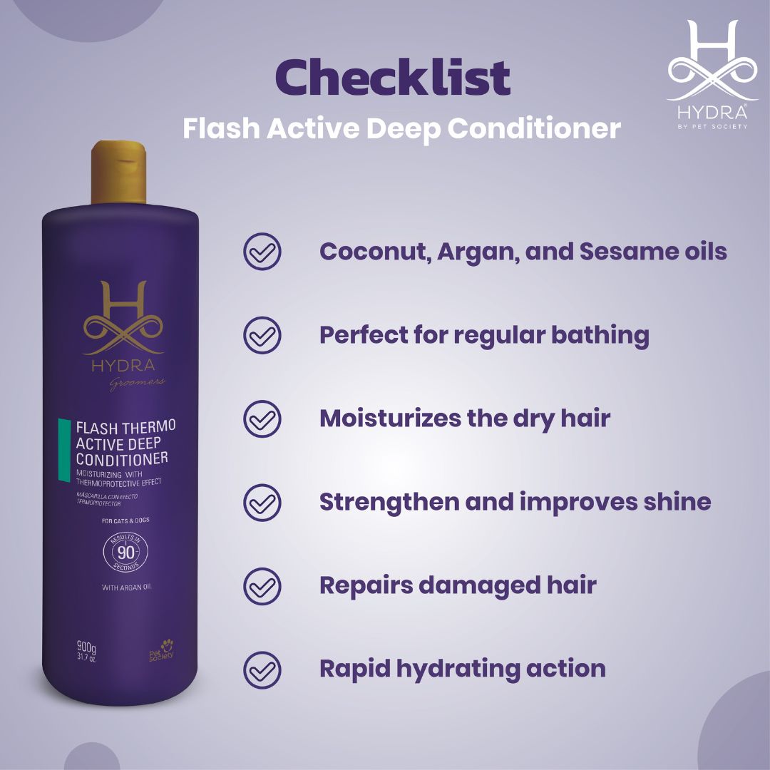 best conditioner, top conditioner, buy conditioner, conditioner online, conditioner for sale, natural conditioner, organic conditioner, sulfate-free conditioner, moisturizing conditioner, detangling conditioner, volumizing conditioner, strengthening conditioner, color-safe conditioner, conditioner for oily hair, conditioner for dry hair, conditioner for fine hair, conditioner for thick hair, conditioner for damaged hair, anti-dandruff conditioner, itchy scalp conditioner, sensitive scalp conditioner