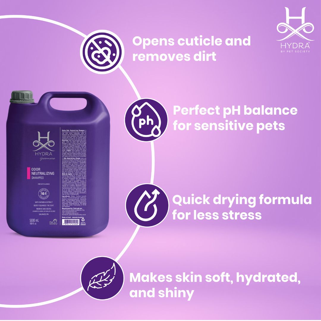 dog shampoo 3 in 1, dog shampoo 32 oz, pet head sensitive soul shampoo 300ml, shampoo pet 3 em 1, pet dermyl shampoo vansil 300ml, dog shampoo 4 in 1, dog shampoo 4 chlorhexidine, pet shampoo for skunk, pet shampoo for dander, pet shampoo 500ml, pet shampoo 5l, dog shampoo 5 gallon, dog shampoo 5 in 1, dog shampoo 5lt, dog shampoo 5 below, shampoo pet 5 em 1, shampoo pet 5 l, shampoo dolce pet 5l, puppy shampoo 6 weeks, dog shampoo 64 oz, dog shampoo 6 in 1, shampoo pet 6 em 1, dog shampoo 7 11, shampoo pet