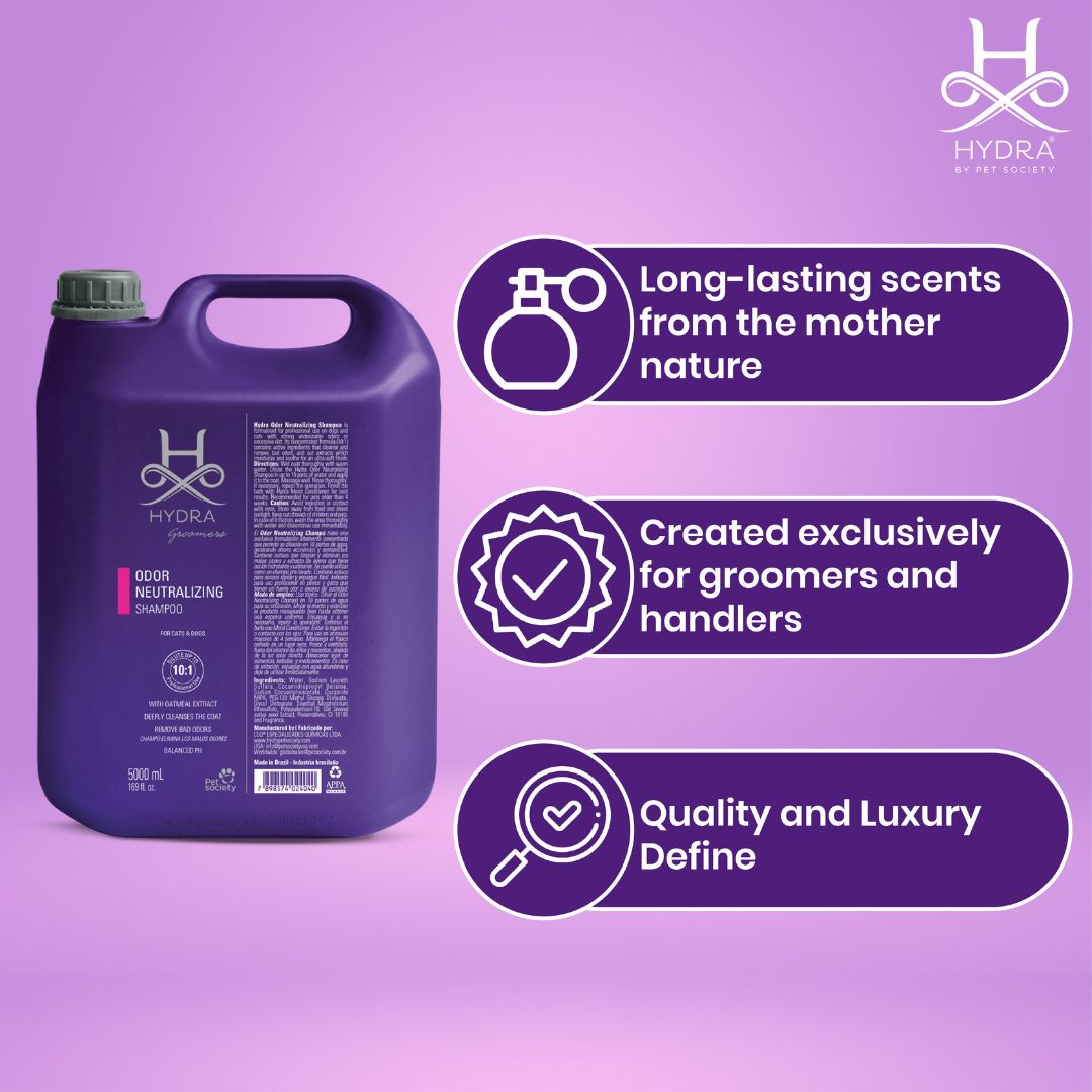 puppy shampoo reddit, dog shampoo skunk, dog shampoo use, dog shampoo vet recommended, dog shampoo vet, dog shampoo yorkie, pet shampoo target, pet shampoo target crossword, pet shampoo for rabbits, pet shampoo shop near me, shampoo pet o boticario, shampoo pet o melhor, dog shampoo 1l, dog shampoo 1000ml price, dog shampoo 1 ltr, dog shampoo 100ml, dog shampoo 250ml price, dog shampoo 2l, dog shampoo 200ml, dog shampoo 2 litre, pet shampoo under 200, pet kc 24 shampoo, dermcare malaseb medicated pet shampo