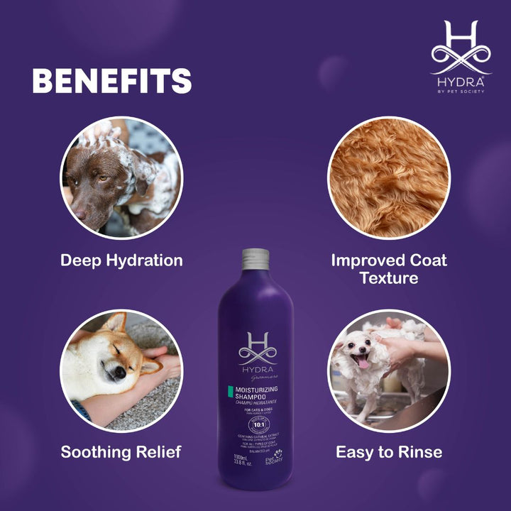 hydra dog shampoo and conditioner, hydra animal facts, hydra 32 mount, hypro dog food, hydra pet grooming, hydra animal real, hydra forever love pet cologne, hydra animal picture, hydra flush mount, shampoo hydra pet 5 litros, hydra animal lifespan, hydra dog dry shampoo, hydra dog finishing spray, hydra animal life cycle, hydra animal name in hindi, hydra mount with magnifier, hyderabad pet zone, hydra mount mp7, hydra animal real life, hydra animal name, kit hydra pet spa senses care, hydra mount airsoft