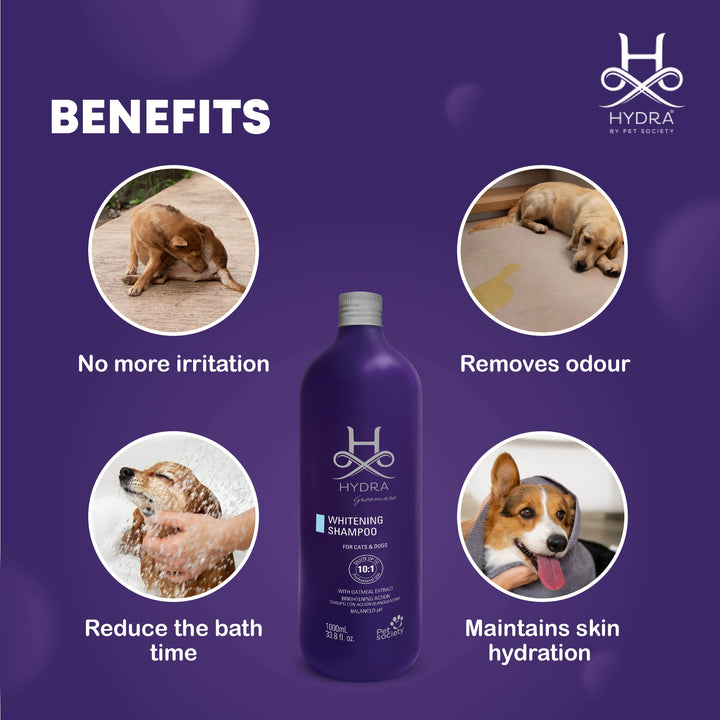 Hydra Groomers Whitening Shampoo for Dogs & Cats (1 L)