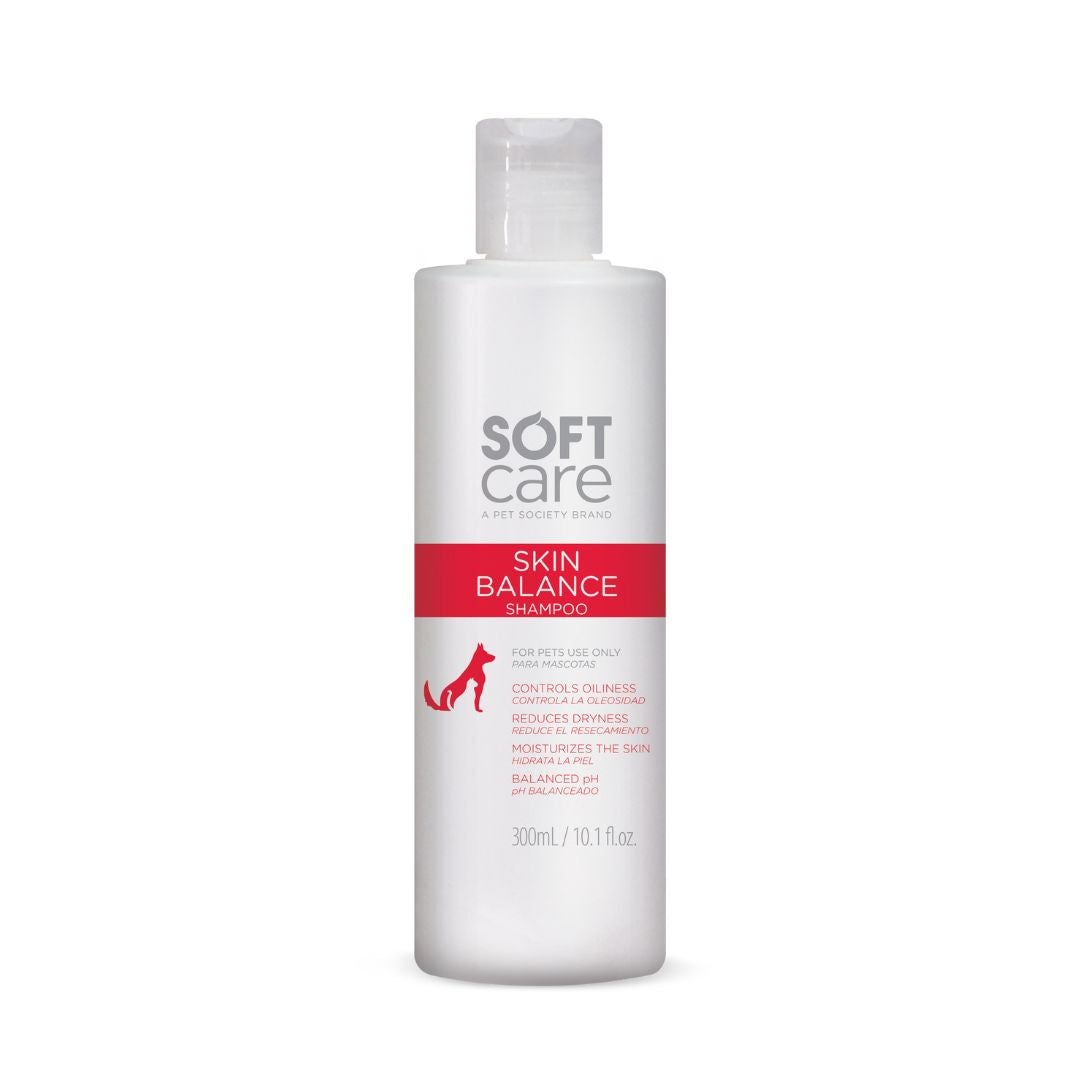 repairing shampoo, smoothing shampoo, frizz control shampoo, curl enhancing shampoo, texturizing shampoo, baby shampoo, kids shampoo, pet shampoo, flea shampoo, whitening shampoo, brightening shampoo, odor eliminating shampoo, waterless shampoo, dry shampoo, shampoo bar, pet shampoo, dog shampoo, cat shampoo, small animal shampoo, bird shampoo, best pet shampoo, top pet shampoo, buy pet shampoo, pet shampoo online, pet shampoo for sale, natural pet shampoo, organic pet shampoo, hypoallergenic pet shampoo