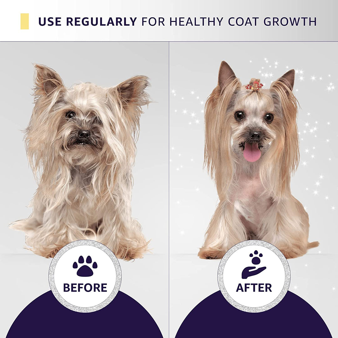 Hydra Groomers Ultra Dematting and Finishing Spray for Cats and Dogs (5 L)