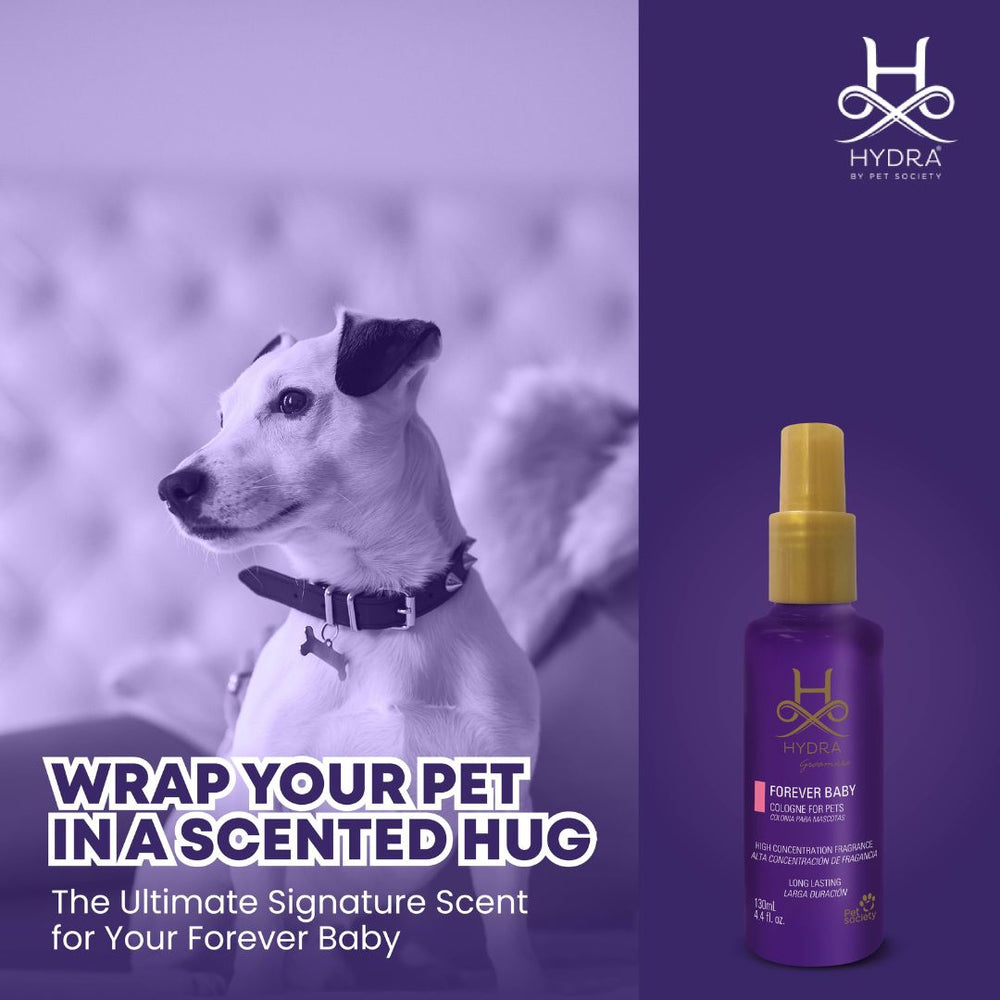 puppy cologne, kitten cologne, gentle pet fragrance, long-lasting pet cologne, deodorizing pet spray for pets, refreshing pet spray, grooming spray for pets, scented pet spray, unscented pet spray, pet odor eliminator spray, pet perfume, animal fragrance, canine cologne, feline fragrance, small animal scent, bird safe fragrance, floral pet fragrance, fruity pet fragrance, fresh pet scent