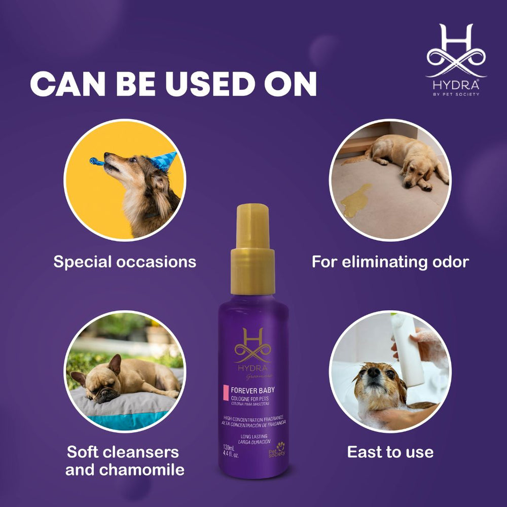 pet breath freshener spray, pet paw spray (scented), pet bedding spray, pet carrier freshener, Cologne, fragrance, perfume, best cologne, top cologne, buy cologne, cologne online, cologne for sale, men's cologne, women's perfume, unisex fragrance, natural fragrance, organic fragrance