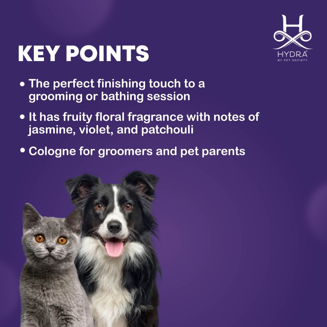 pet perfume market, pet perfume manufacturers, pet spray massage brush instructions, pet spray massage comb instructions, pet spray massage brush directions, pet spray massage, pet spray machine, pet spray massage brush how to use, pet spray mat, pet spray massage comb how to use, pet spray mop, pet perfume nearby, pet cologne near me, pet cologne nearby, pet spray nozzle, pet spray natural, pet spray neutralizer, pet spray on plaster, pet spray orange, pet fragrance oils