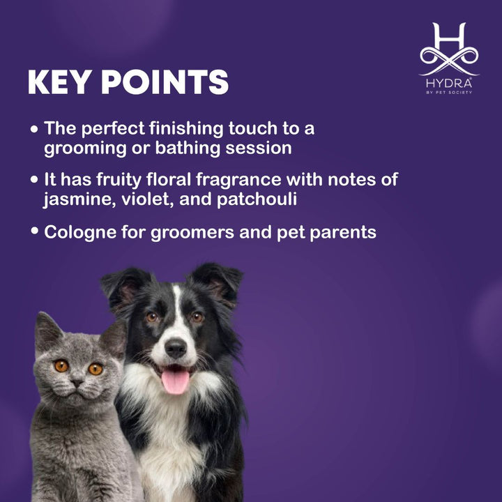 pet perfume market, pet perfume manufacturers, pet spray massage brush instructions, pet spray massage comb instructions, pet spray massage brush directions, pet spray massage, pet spray machine, pet spray massage brush how to use, pet spray mat, pet spray massage comb how to use, pet spray mop, pet perfume nearby, pet cologne near me, pet cologne nearby, pet spray nozzle, pet spray natural, pet spray neutralizer, pet spray on plaster, pet spray orange, pet fragrance oils