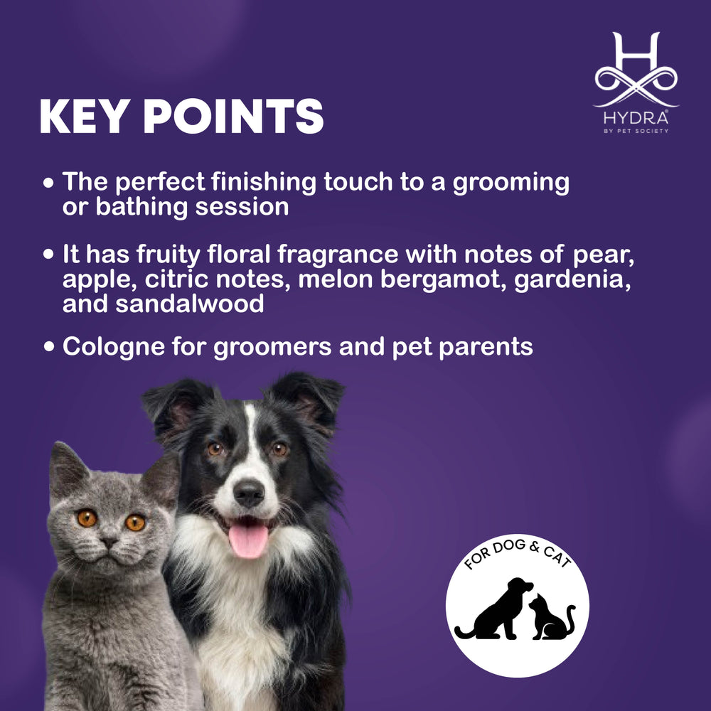 sweet perfume, long-lasting fragrance, light fragrance, strong fragrance, unique fragrance, popular cologne, trending perfume, celebrity fragrance, niche perfume, aromatherapy spray, linen spray, room spray, hair mist, detangling spray, highlight spray, coloring spray, temporary hair color, pet cologne, dog cologne, cat cologne, small animal fragrance, bird fragrance spray