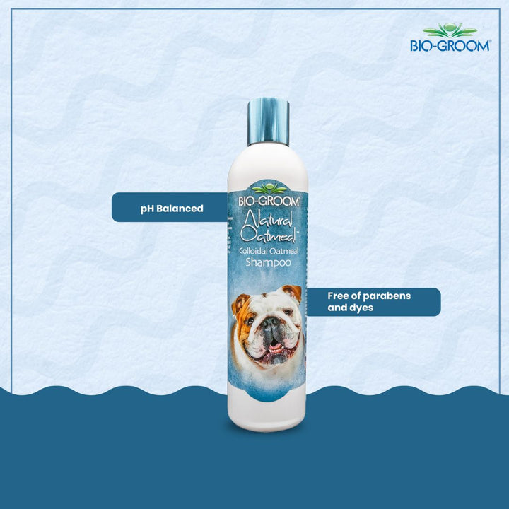 bio groom dog shampoo reviews, bio groom waterless dog shampoo, bio groom super white dog shampoo, bio groom super whitening dog shampoo, bio groom ultra black dog shampoo, bio groom flea & tick dog shampoo, bio-groom natural oatmeal dog shampoo, bio groom oatmeal dog shampoo, bio groom black.dog.shampoo, cat Biogroom shampoo, bio groom cat shampoo, bio groom purrfect white cat shampoo, do pet groomers groom cats, do pet groomers wash cats, can i wash cat with shampoo