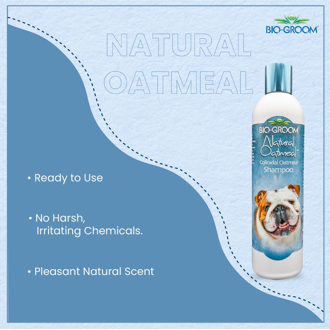 bio groom ultra black dog shampoo, bio groom flea & tick dog shampoo, bio-groom natural oatmeal dog shampoo, bio groom oatmeal dog shampoo, bio groom black.dog.shampoo, cat Biogroom shampoo, bio groom cat shampoo, bio groom purrfect white cat shampoo, do pet groomers groom cats, do pet groomers wash cats, can i wash cat with shampoo, cat shampoo vs human shampoo.