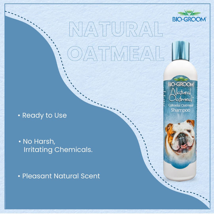 bio groom ultra black dog shampoo, bio groom flea & tick dog shampoo, bio-groom natural oatmeal dog shampoo, bio groom oatmeal dog shampoo, bio groom black.dog.shampoo, cat Biogroom shampoo, bio groom cat shampoo, bio groom purrfect white cat shampoo, do pet groomers groom cats, do pet groomers wash cats, can i wash cat with shampoo, cat shampoo vs human shampoo.