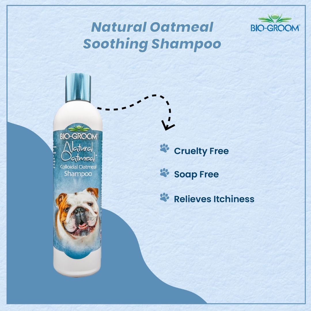 bio groom dog spray, bio groom super white pet shampoo, what is bio sponge for dogs, pet care bio examples, grooming pet near me, bio groom shampoo, bio groom super white shampoo, bio groom cat shampoo, pet Biogroom shampoo, bio groom pet shampoo, bio groom super white pet shampoo, what shampoo does petco use for grooming, what shampoo does petsmart use for grooming, bio groom shampoo, bio groom shampoo cat, bio groom super white shampoo, dog Biogroom shampoo, bio groom dog shampoo