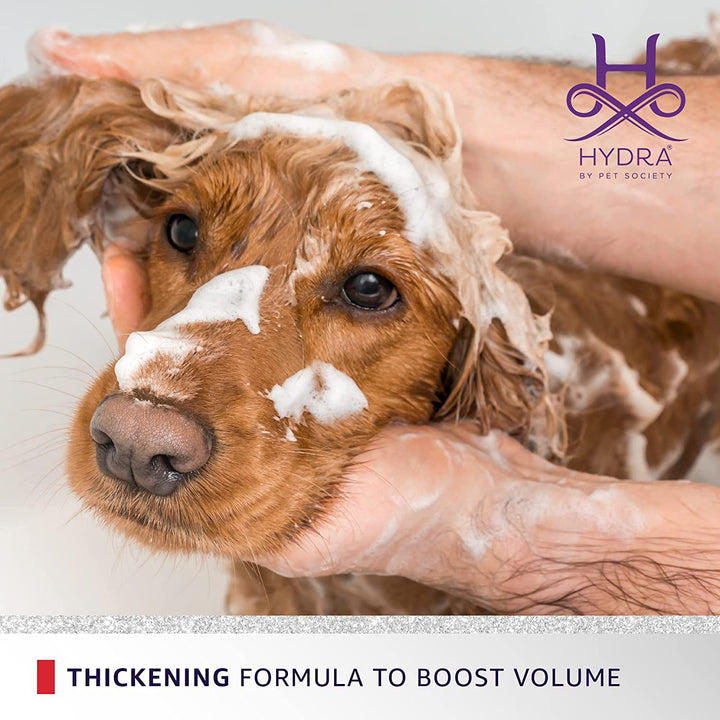 Hydra Groomers Volumizing Shampoo for Dogs & Cats (5 L)