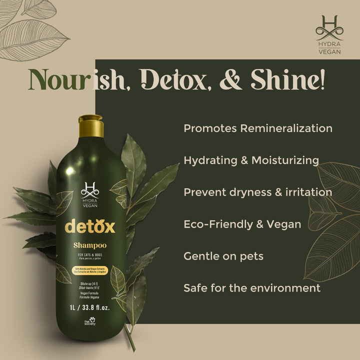 anti-dandruff shampoo, itchy scalp shampoo, sensitive scalp shampoo, hypoallergenic shampoo, medicated shampoo, professional shampoo, salon shampoo, cheap shampoo, discount shampoo, gentle shampoo, daily shampoo, deep cleansing shampoo, nourishing shampoo, revitalizing shampoo, repairing shampoo, smoothing shampoo, frizz control shampoo, curl enhancing shampoo, texturizing shampoo, baby shampoo, kids shampoo, pet shampoo, flea shampoo, whitening shampoo, brightening shampoo, odor eliminating shampoo