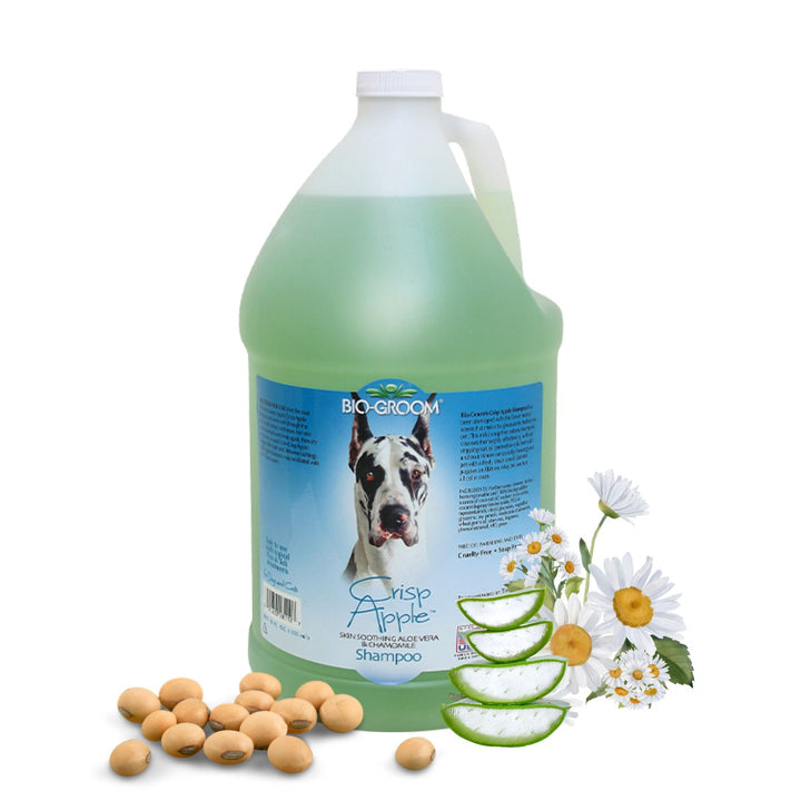 discount shampoo, gentle shampoo, daily shampoo, deep cleansing shampoo, nourishing shampoo, revitalizing shampoo, repairing shampoo, smoothing shampoo, frizz control shampoo, curl enhancing shampoo, texturizing shampoo, baby shampoo, kids shampoo, pet shampoo, flea shampoo, whitening shampoo, brightening shampoo, odor eliminating shampoo, waterless shampoo, dry shampoo, shampoo bar, pet shampoo, dog shampoo, cat shampoo, small animal shampoo, bird shampoo, best pet shampoo, top pet shampoo, buy pet shampoo