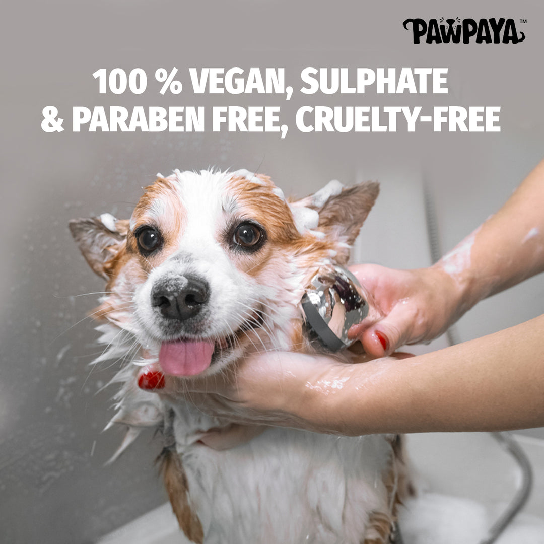 Shampoo, hair shampoo, best shampoo, top shampoo, buy shampoo, shampoo online, shampoo for sale, natural shampoo, organic shampoo, sulfate-free shampoo, moisturizing shampoo, clarifying shampoo, volumizing shampoo, strengthening shampoo, color-safe shampoo, shampoo for oily hair, shampoo for dry hair, shampoo for fine hair, shampoo for thick hair, shampoo for damaged hair, anti-dandruff shampoo, itchy scalp shampoo, sensitive scalp shampoo, hypoallergenic shampoo, medicated shampoo, professional shampoo