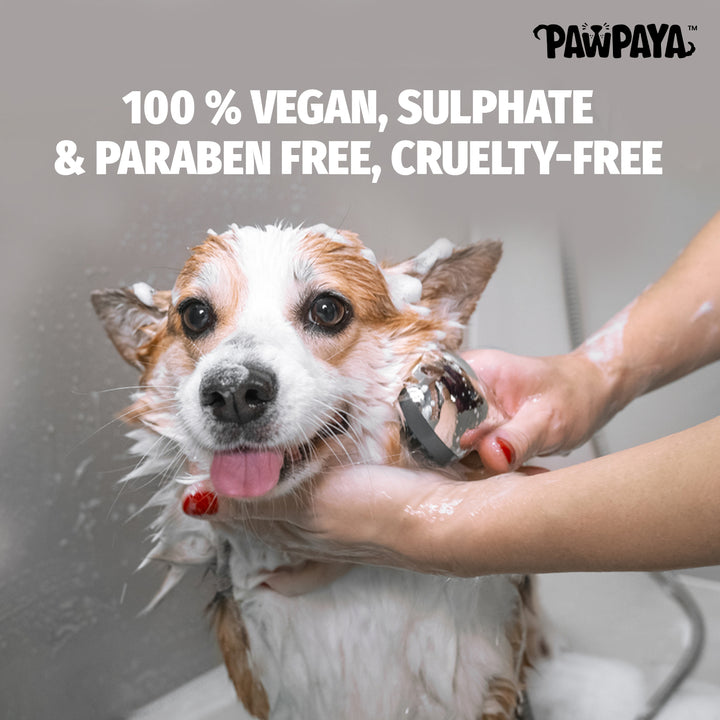 Shampoo, hair shampoo, best shampoo, top shampoo, buy shampoo, shampoo online, shampoo for sale, natural shampoo, organic shampoo, sulfate-free shampoo, moisturizing shampoo, clarifying shampoo, volumizing shampoo, strengthening shampoo, color-safe shampoo, shampoo for oily hair, shampoo for dry hair, shampoo for fine hair, shampoo for thick hair, shampoo for damaged hair, anti-dandruff shampoo, itchy scalp shampoo, sensitive scalp shampoo, hypoallergenic shampoo, medicated shampoo, professional shampoo