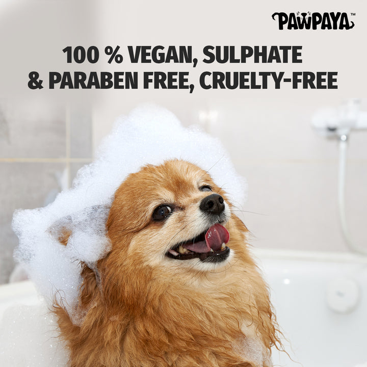 cheap shampoo, discount shampoo, gentle shampoo, daily shampoo, deep cleansing shampoo, nourishing shampoo, revitalizing shampoo, repairing shampoo, smoothing shampoo, frizz control shampoo, curl enhancing shampoo, texturizing shampoo, baby shampoo, kids shampoo, pet shampoo, flea shampoo, whitening shampoo, brightening shampoo, odor eliminating shampoo, waterless shampoo, dry shampoo, shampoo bar, pet shampoo, dog shampoo, cat shampoo, small animal shampoo, bird shampoo, best pet shampoo, top pet shampoo, 