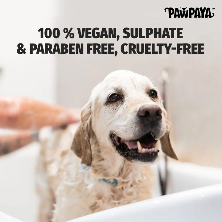 cheap shampoo, discount shampoo, gentle shampoo, daily shampoo, deep cleansing shampoo, nourishing shampoo, revitalizing shampoo, repairing shampoo, smoothing shampoo, frizz control shampoo, curl enhancing shampoo, texturizing shampoo, baby shampoo, kids shampoo, pet shampoo, flea shampoo, whitening shampoo, brightening shampoo, odor eliminating shampoo, waterless shampoo, dry shampoo, shampoo bar, pet shampoo, dog shampoo, cat shampoo