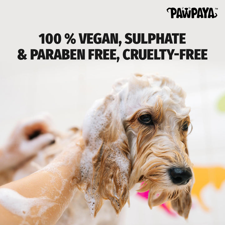 puppy shampoo, kitten shampoo, sensitive skin pet shampoo, deodorizing pet shampoo, moisturizing pet shampoo, whitening pet shampoo for pets, brightening pet shampoo, oatmeal pet shampoo, tear-free pet shampoo, waterless pet shampoo for pets, dry pet shampoo, long hair pet shampoo, short hair pet shampoo, thick coat pet shampoo, thin coat pet shampoo, shedding control pet shampoo, anti-itch pet shampoo, hot spot shampoo for pets, conditioning pet shampoo, gentle pet shampoo, vet recommended pet shampoo