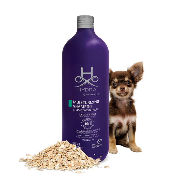 hydra pet, hydra the animal, hyd pet shop, hydra animal characteristics, hydra animal images, hydra pet shampoo, hydra animal mythology, hydra whole mount, hydra animal immortal, hydra dog shampoo review, hydra dog conditioner, hydra dog perfume, hydra animal in real life, hydra animal diagram, hydra 3d printer, hydra battery price, hydra hours, hydra whole mount diagram, hydra mount kit, hydra pet society kit, hydra pet logo, hydra animal reproduction, shampoo hydra pet pro volume, hydra dog shampoo amazon