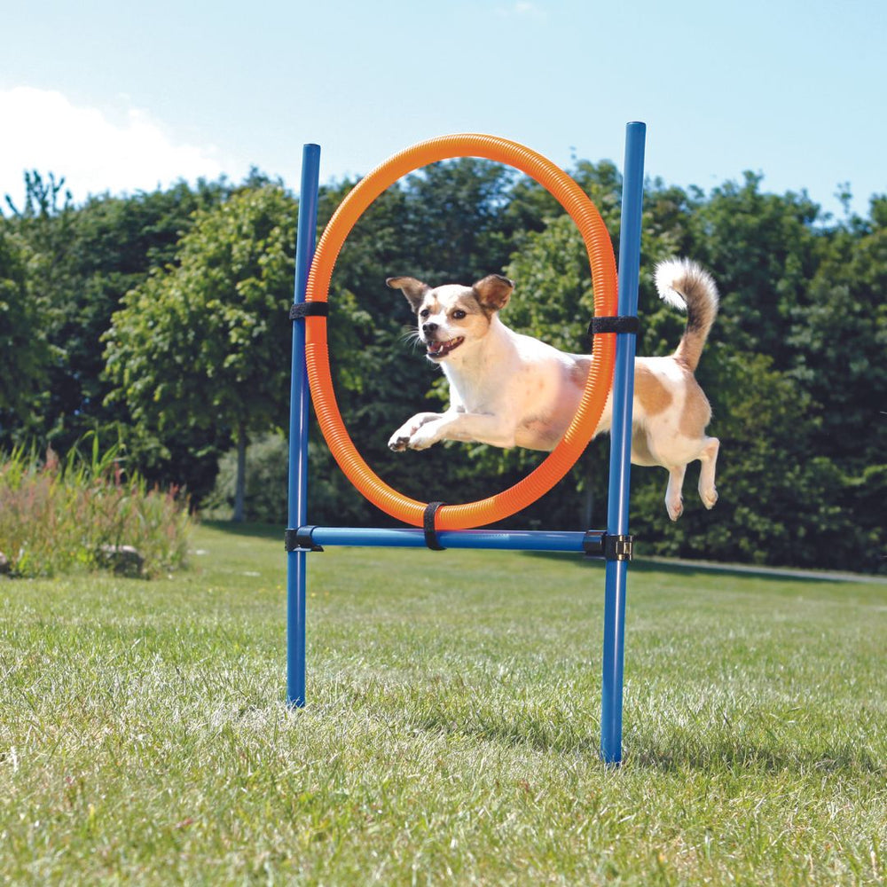A person holding the Trixie Dog Agility Ring carrying bag, showcasing its portability