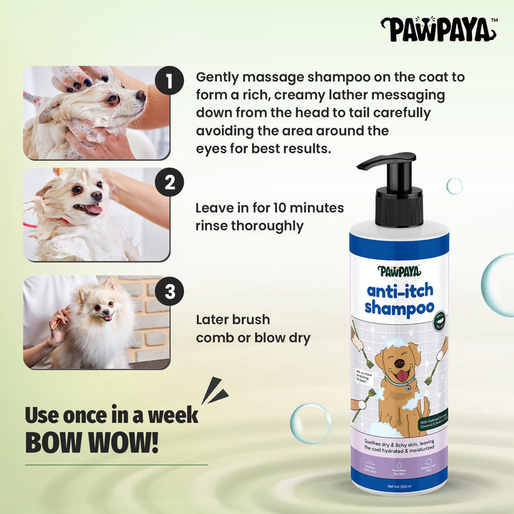 hair shampoo, best shampoo, top shampoo, buy shampoo, shampoo online, shampoo for sale, natural shampoo, organic shampoo, sulfate-free shampoo, moisturizing shampoo, clarifying shampoo, volumizing shampoo, strengthening shampoo, color-safe shampoo, shampoo for oily hair, shampoo for dry hair, shampoo for fine hair, shampoo for thick hair, shampoo for damaged hair, anti-dandruff shampoo, itchy scalp shampoo, sensitive scalp shampoo, hypoallergenic shampoo, medicated shampoo, professional shampoo