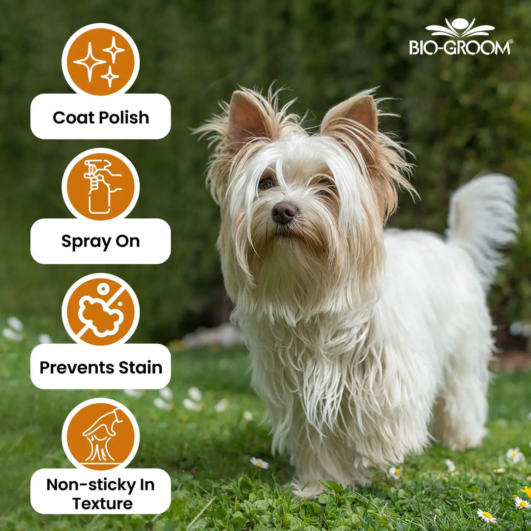 Bio-Groom Coat Polish Spray-On Glosser For Dogs (355 ML)