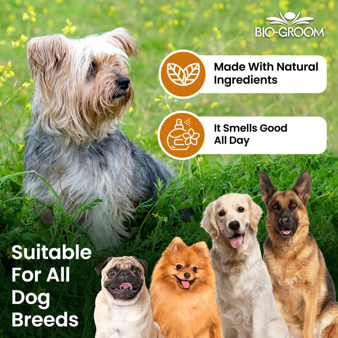 Bio-Groom Coat Polish Spray-On Glosser For Dogs (355 ML)