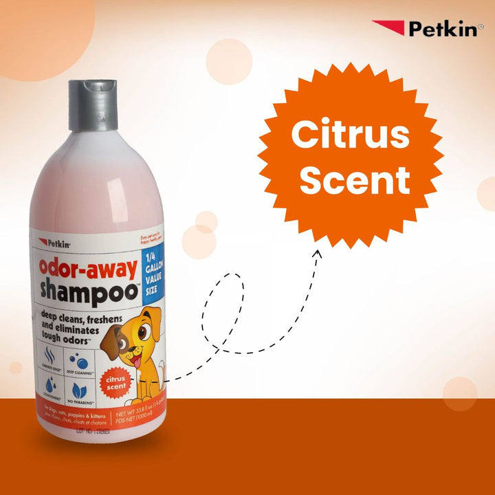 feline shampoo, small animal grooming, bird bath cleaner, Shampoo, hair shampoo, best shampoo, top shampoo, buy shampoo, shampoo online, shampoo for sale, natural shampoo, organic shampoo, sulfate-free shampoo, moisturizing shampoo, clarifying shampoo, volumizing shampoo, strengthening shampoo, color-safe shampoo, shampoo for oily hair, shampoo for dry hair, shampoo for fine hair, shampoo for thick hair